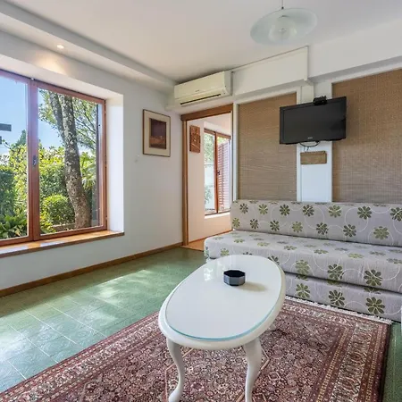 House Villa Vaho *
